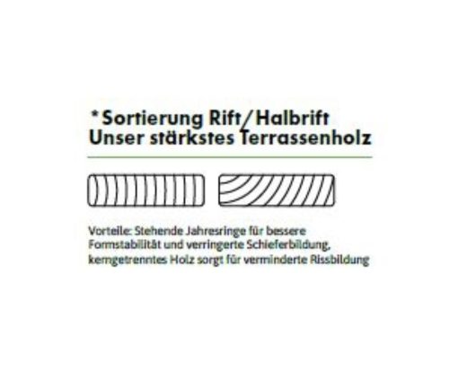 THERMO TANNE - TERRASSENDIELE - Rift/Halbrift Sortierung – Bild 4